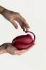 Adrien Lastic Inspiration Vibrator