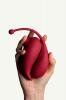 Adrien Lastic Inspiration Vibrator